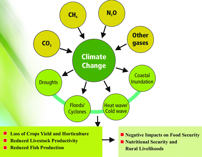Impact of climate change on agriculture in India
