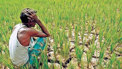 Agriculture Issues