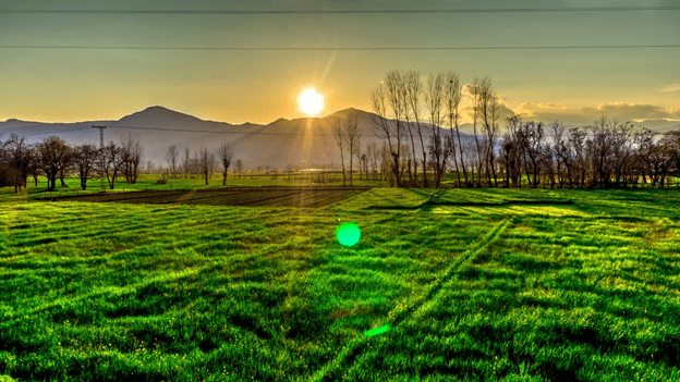 Eco-Friendly Farming-