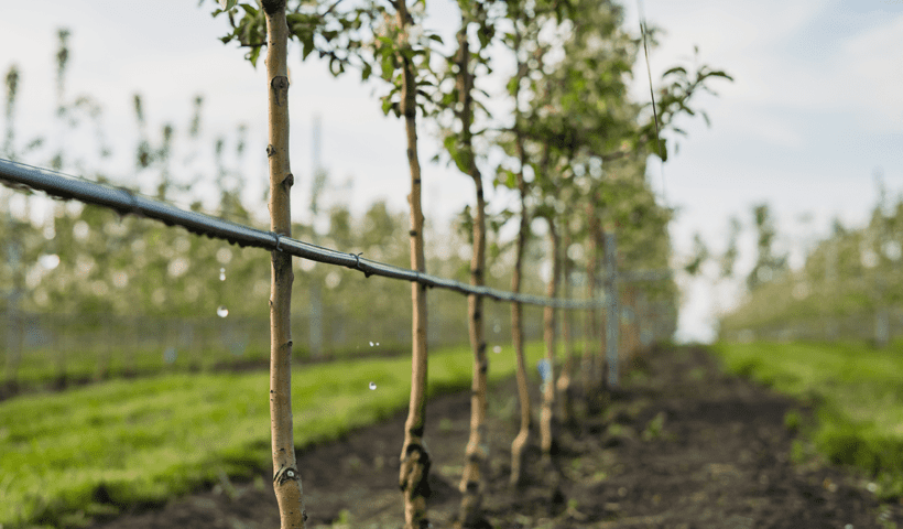 Tips for Healthy Farming-
