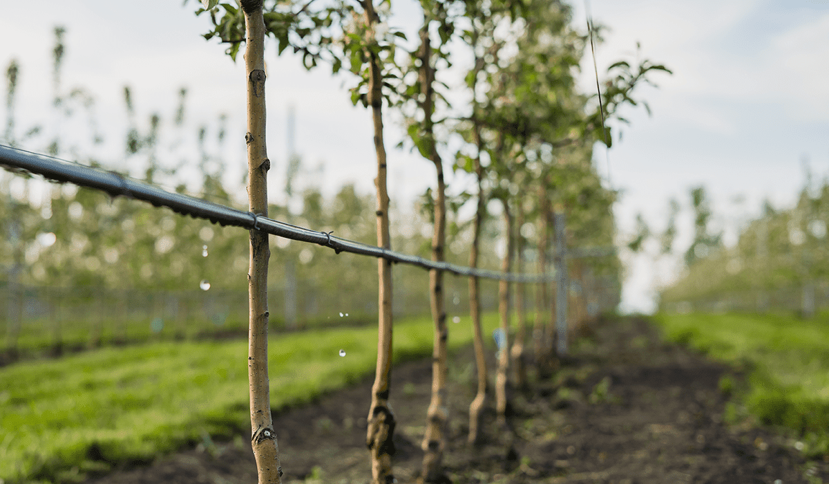 Tips for Healthy Farming-