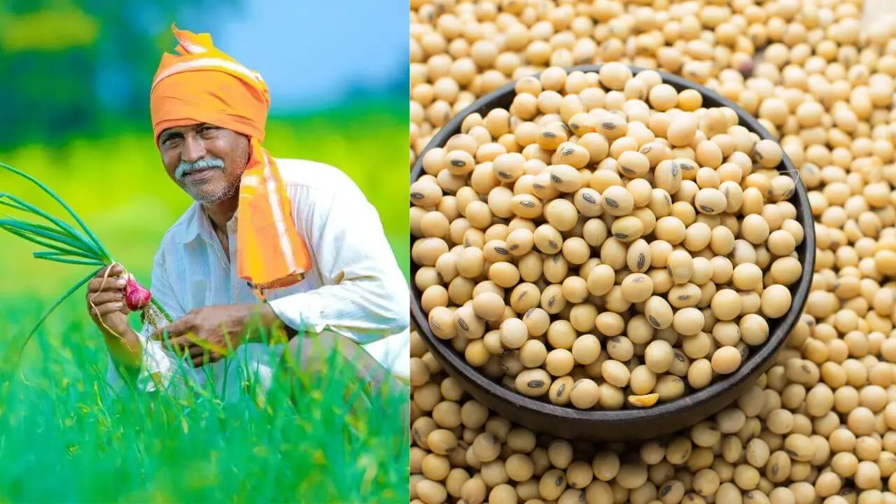 सरकार ने MSP