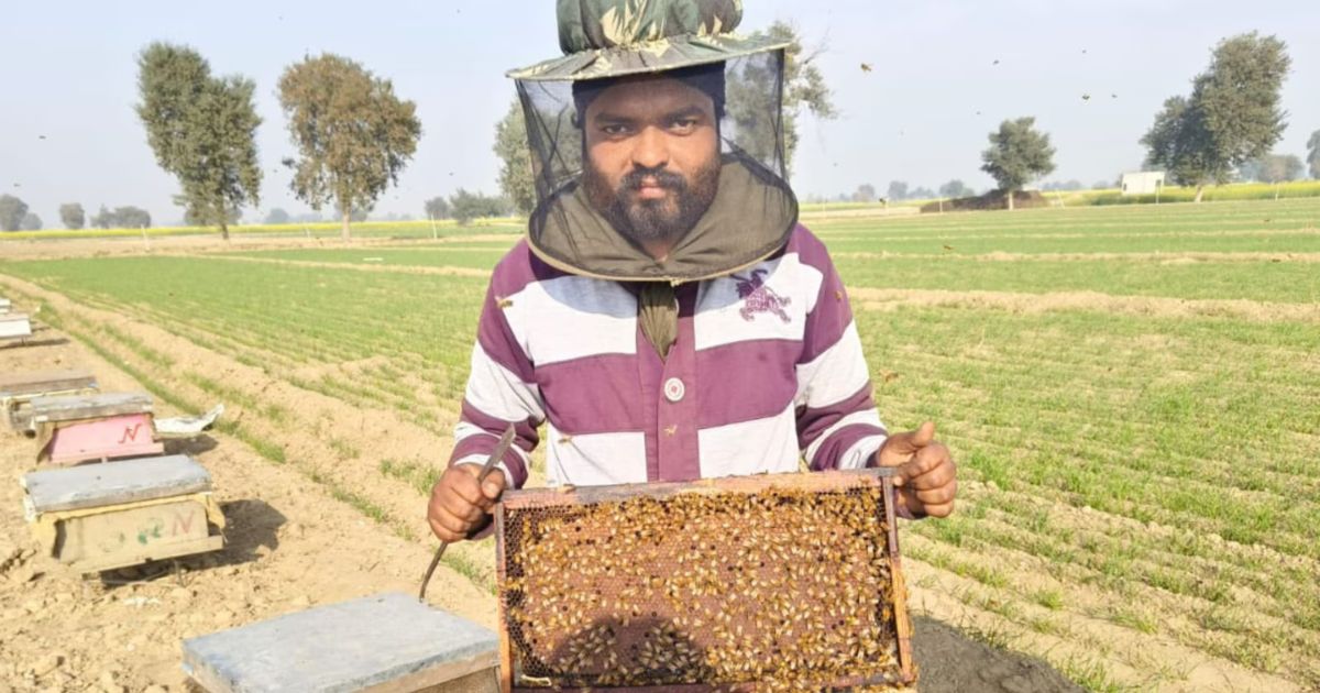 ITI pass youth is doing beekeeping, earning 1.5 to 1.75 lakh rupees in 6 months