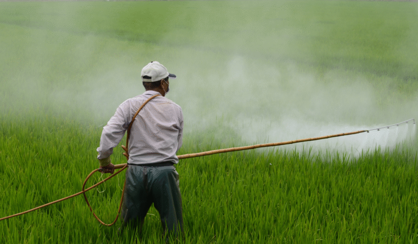Organic Pest Control